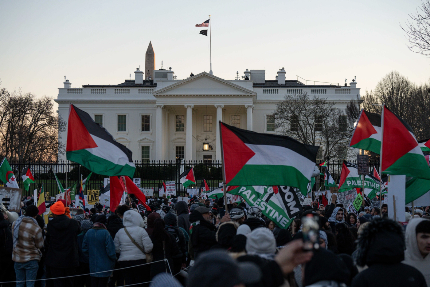 Image Credit: American Muslims for Palestine 