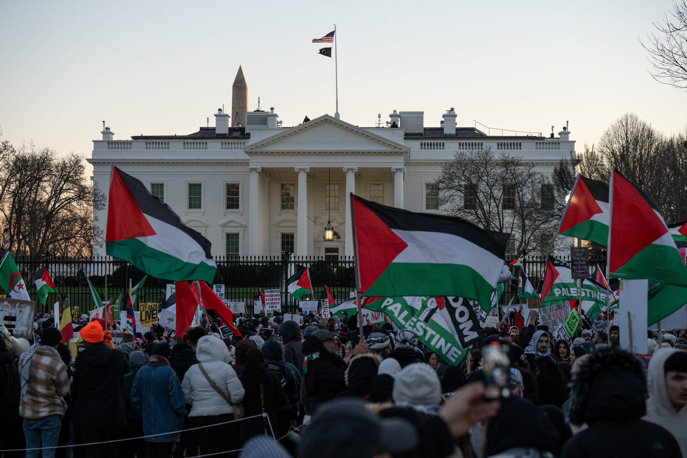 Image Credit: American Muslims for Palestine