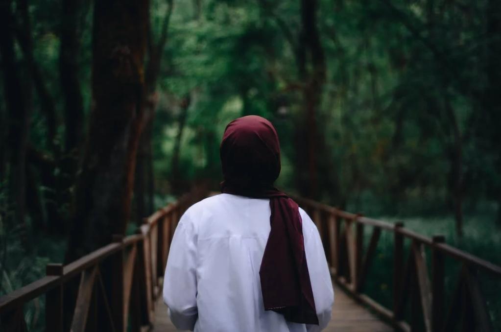 World Hijab Day