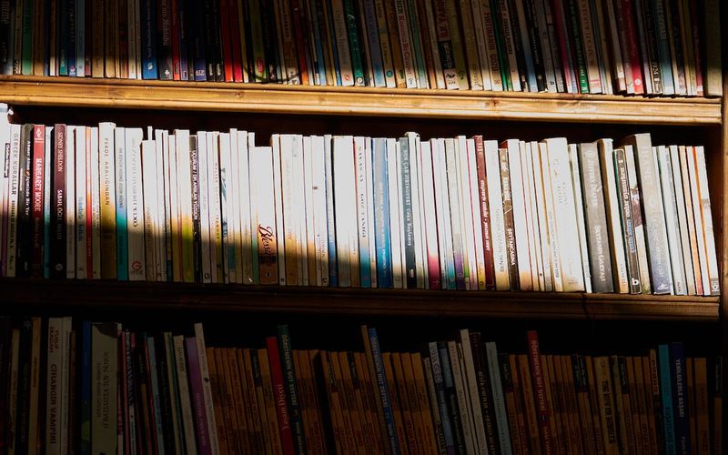 Shahrazad Shelves