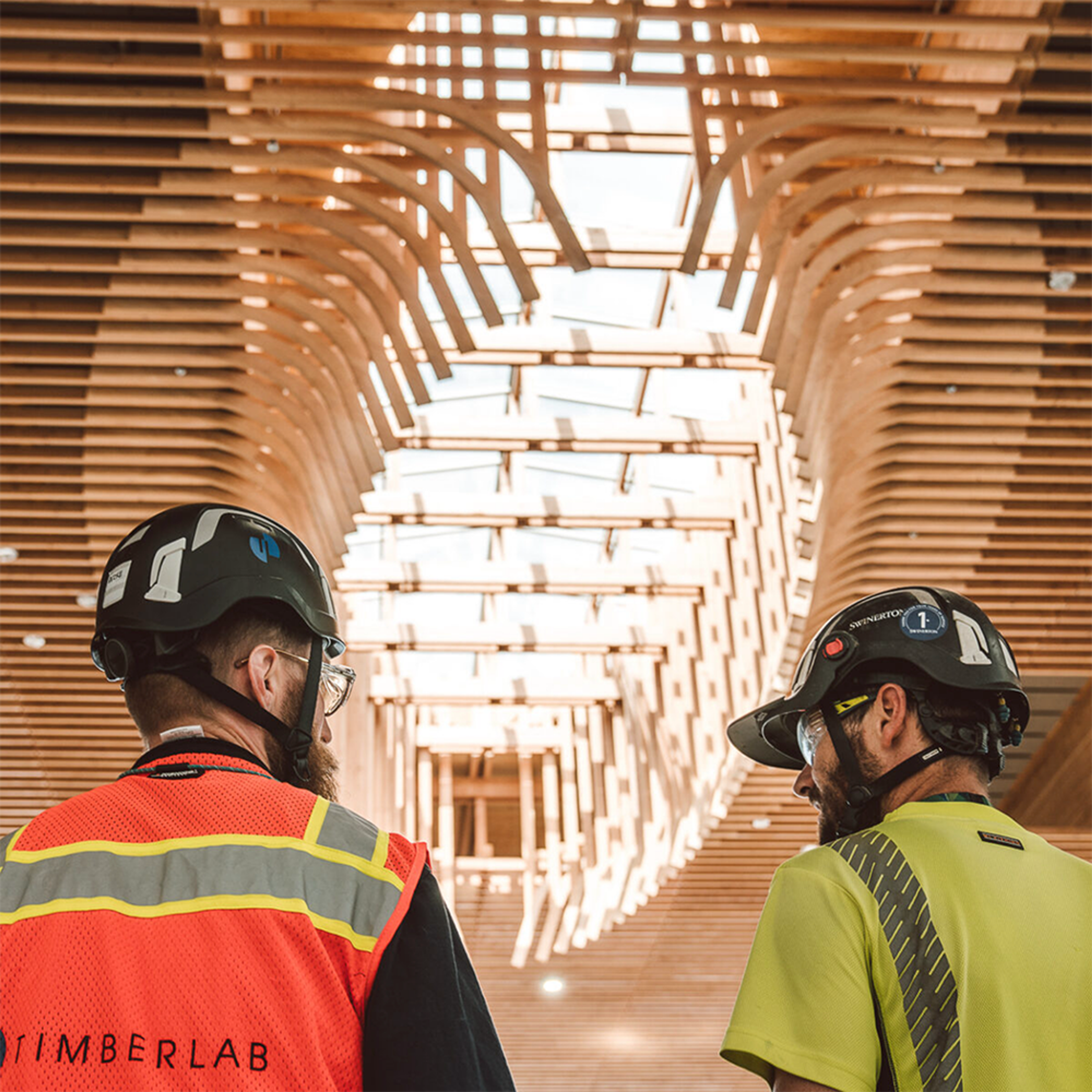 Two workers chatting below timber construction