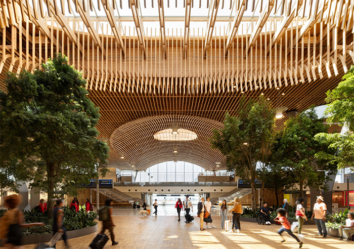 Beautiful timber framed roof