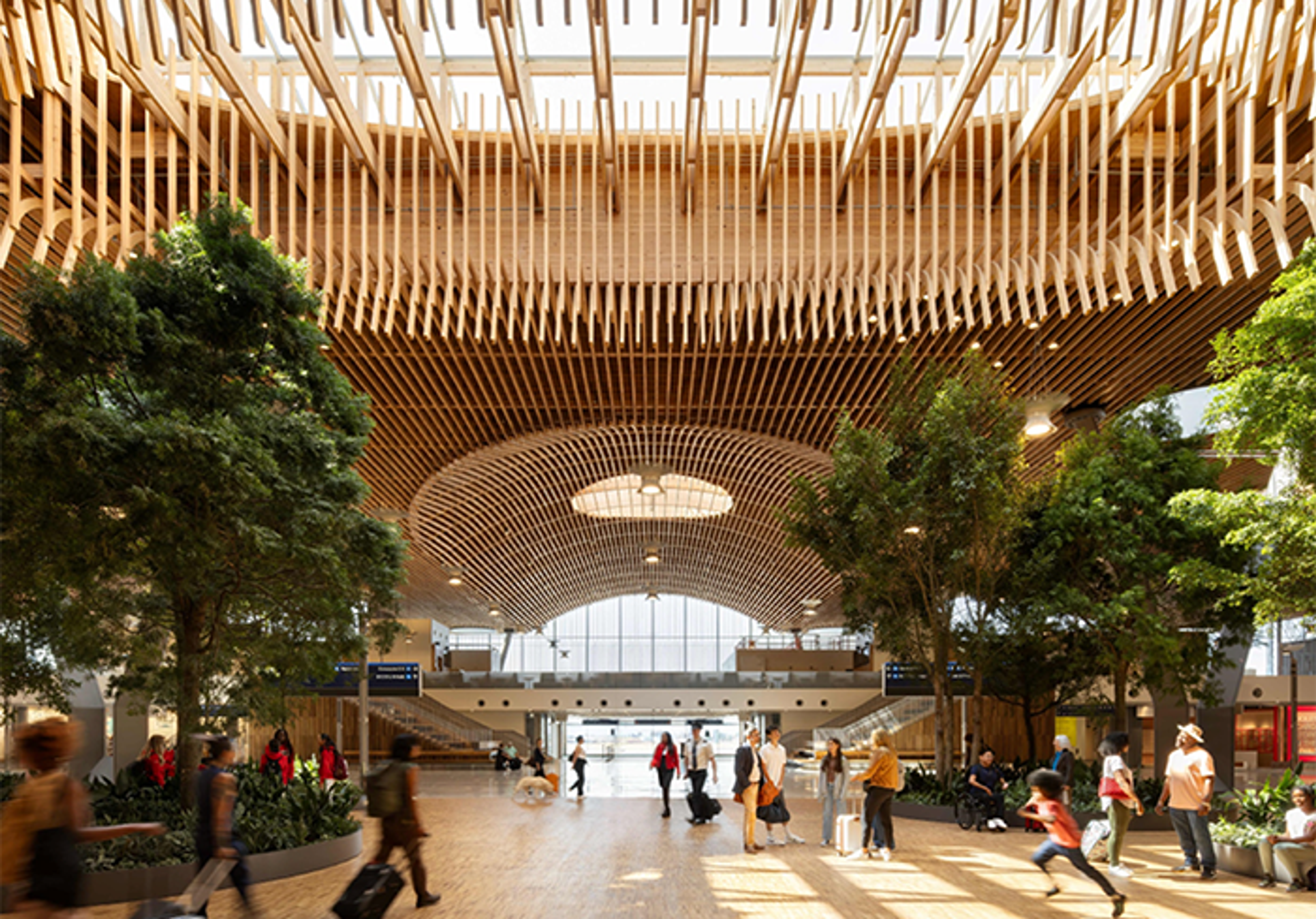 Beautiful timber framed roof