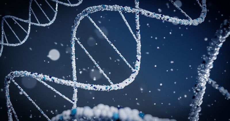 MSC Therapy and Infertility: Supporting Reproductive Health Through Regenerative Medicine