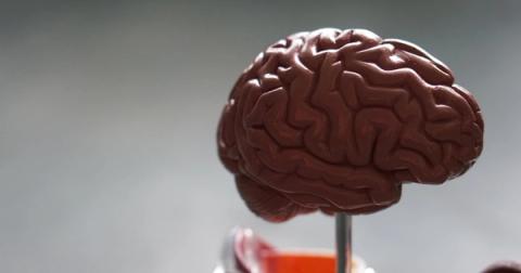 MSC Therapy for POTS: Targeting Dysautonomia Through Nerve Repair and Immune Modulation