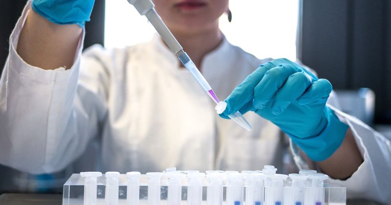 Why We Use Umbilical Cord MSCs — Not Your Own Cells