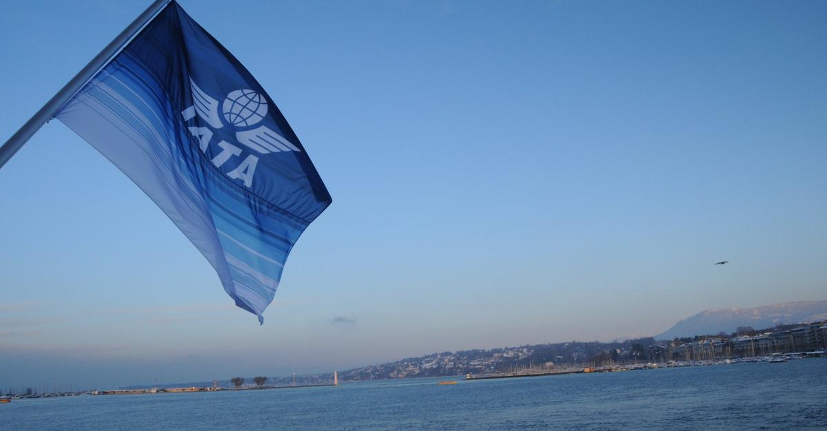Airline Development IATA Projects Resilient Airline Industry Performance for 2025