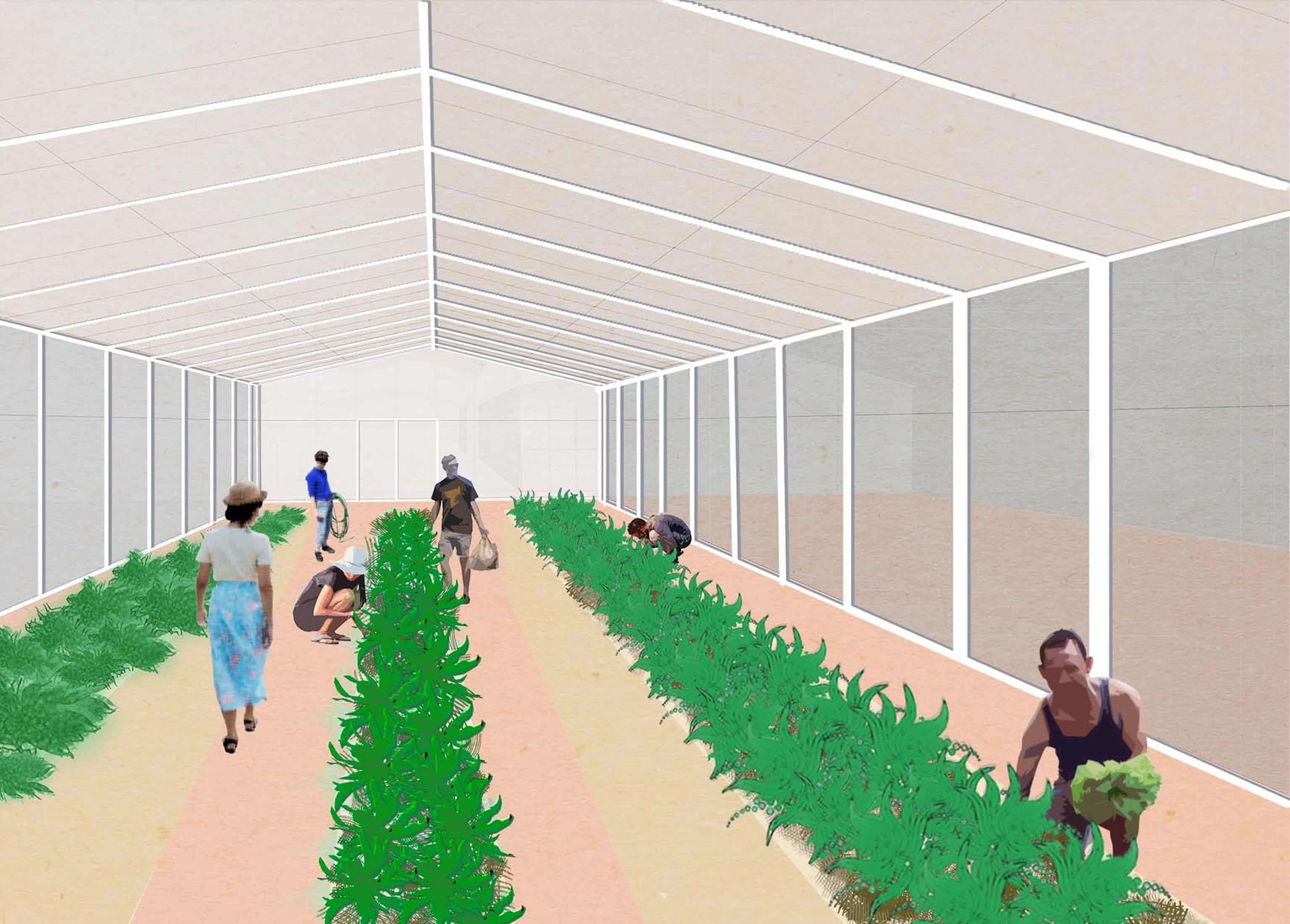 Site Axonometric Drawing