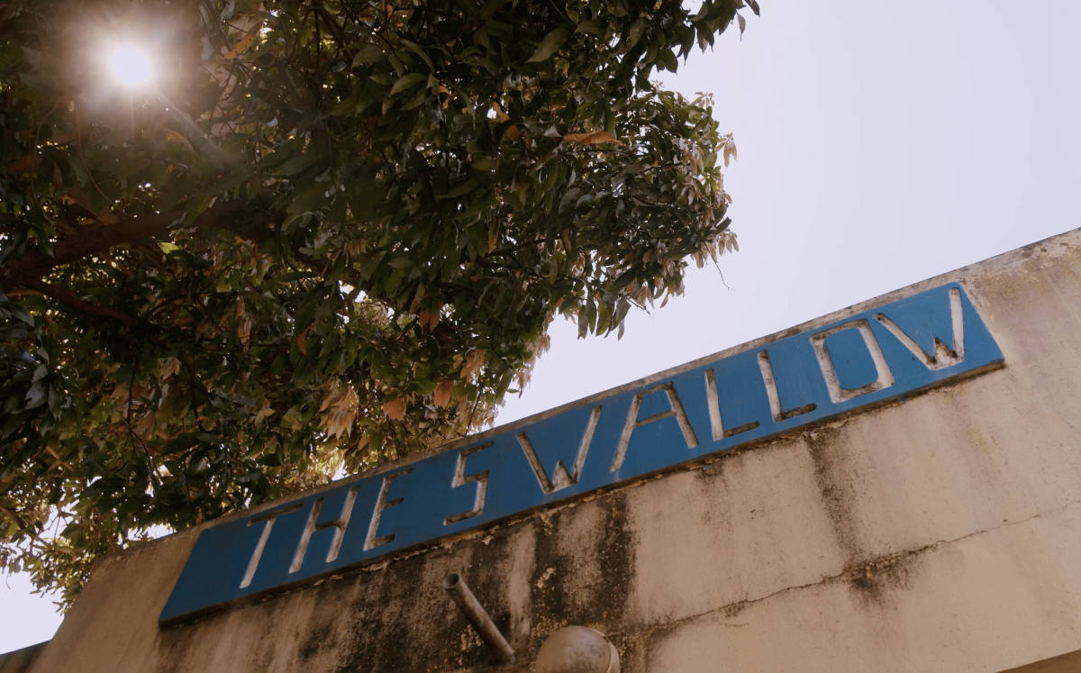 The Swallow Sign