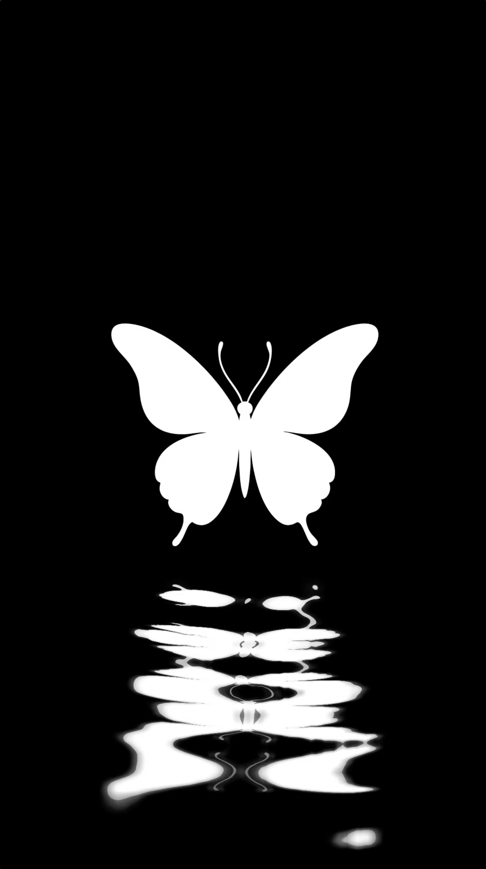 Black-and-white moving-image artwork featuring a butterfly suspended above a fluid, distorted reflection, with the reflected form shifting and transforming beneath it.