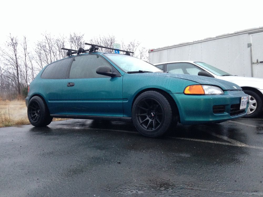 Josh Darnell - Image 4