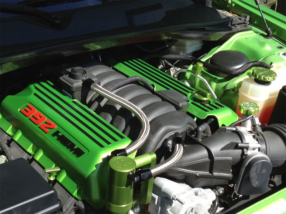 Wade Thomas - Image 1