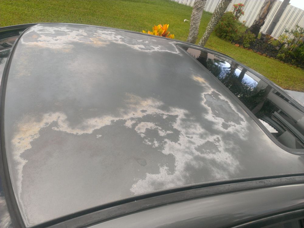 James Clarke - Image 1