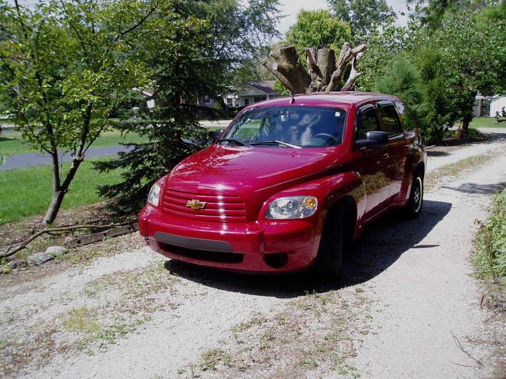 Robin said: - Image 1