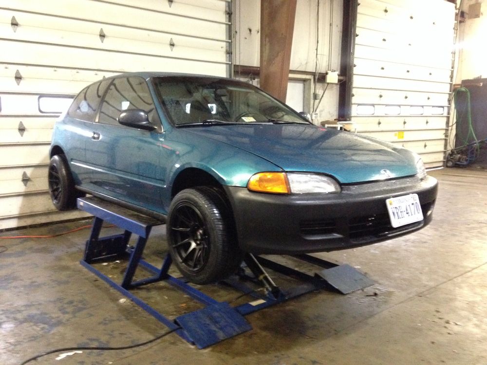 Josh Darnell - Image 2