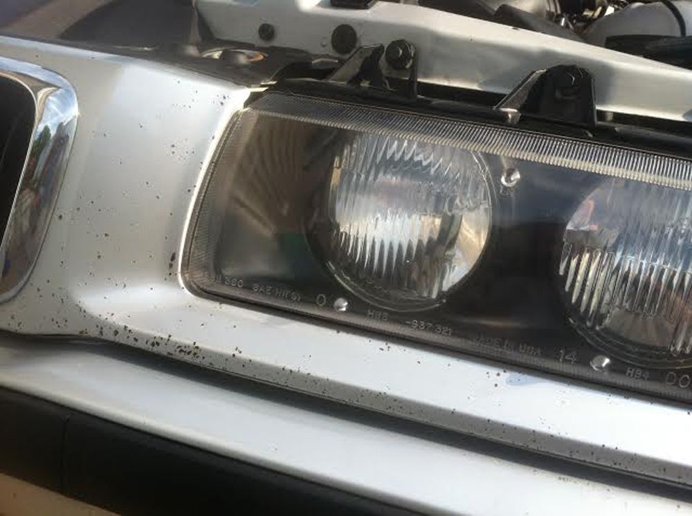 Sean Rodrigues said: - Image 1