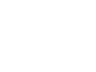 Meta
