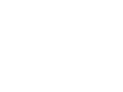 Elit Hair