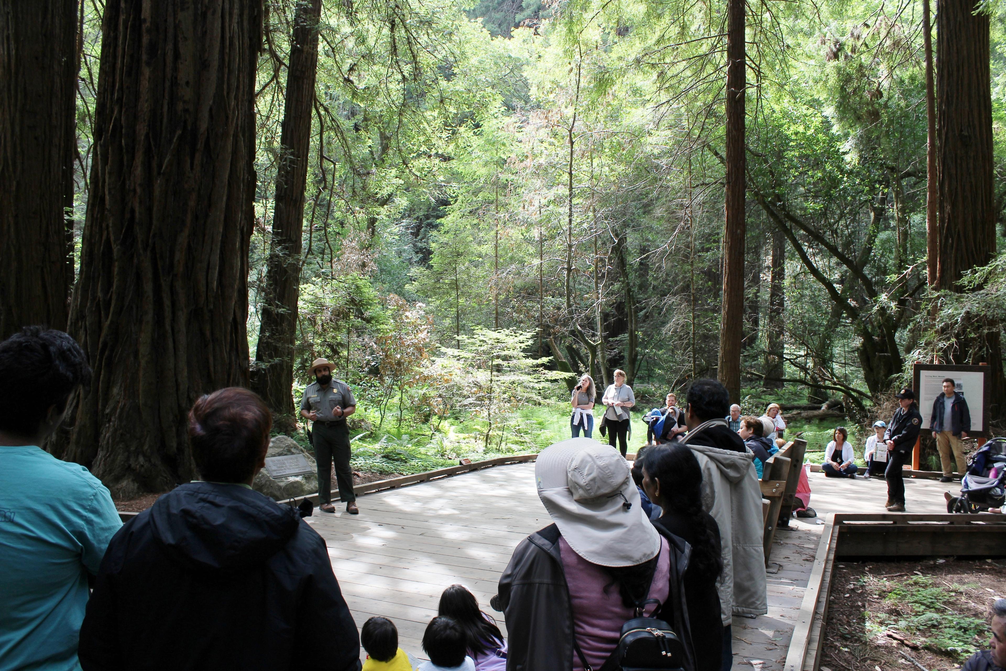 Ranger speaking to a group of visitors in the Muir Woods National Monument.