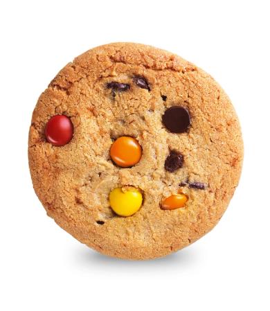 Rainbow Chocolate Chip
