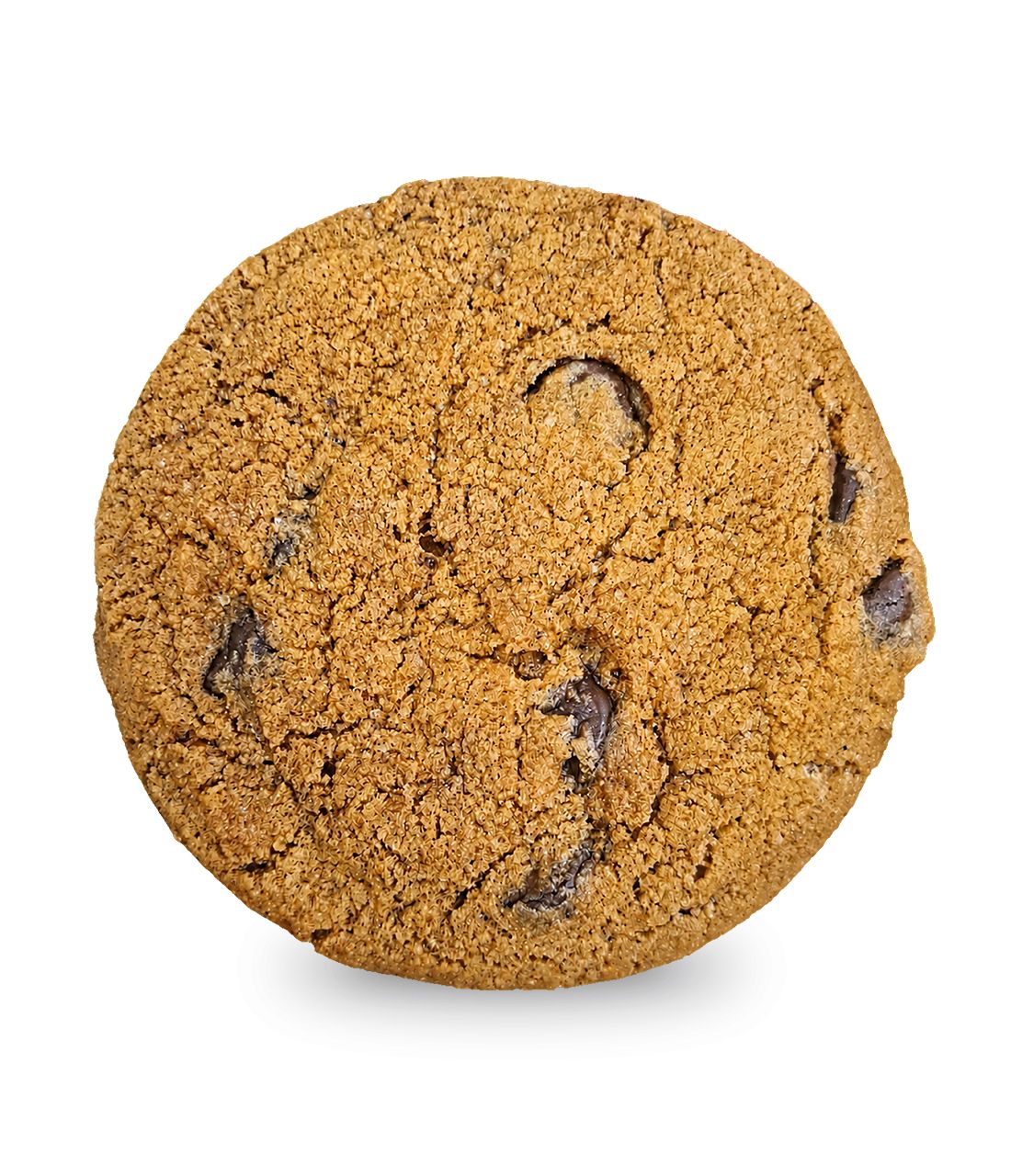 Pumpkin Spice Cookie​​​​‌﻿‍﻿​‍​‍‌‍﻿﻿‌﻿​‍‌‍‍‌‌‍‌﻿‌‍‍‌‌‍﻿‍​‍​‍​﻿‍‍​‍​‍‌﻿​﻿‌‍​‌‌‍﻿‍‌‍‍‌‌﻿‌​‌﻿‍‌​‍﻿‍‌‍‍‌‌‍﻿﻿​‍​‍​‍﻿​​‍​‍‌‍‍​‌﻿​‍‌‍‌‌‌‍‌‍​‍​‍​﻿‍‍​‍​‍‌‍‍​‌﻿‌​‌﻿‌​‌﻿​​‌﻿​﻿​﻿‍‍​‍﻿﻿​‍﻿﻿‌‍﻿‍‌‍﻿﻿‌﻿​‍‌‍‌​‌‍‍‌‌‍​﻿​‍﻿‌‌‍​‍‌‍‍‌‌﻿‌​‌‍‌‌‌﻿​﻿​‍﻿‌‌‍‌﻿‌﻿​‍‌‍﻿﻿‌﻿‌‌‌﻿​​​‍﻿‌‌﻿​﻿‌﻿‌​‌﻿‌‌‌‍‌​‌‍‍‌‌‍﻿﻿​‍﻿‍‌﻿‌‍‌‍‌‌‌﻿​‍‌‍​﻿‌‍‌‌‌‍﻿​​‍﻿‍‌‍​‌‌﻿​​‌﻿​​​‍﻿﻿‌‍‍‌‌‍﻿‍‌﻿‌​‌‍‌‌‌‍﻿‍‌﻿‌​​‍﻿﻿‌‍‌‌‌‍‌​‌‍‍‌‌﻿‌​​‍﻿﻿‌‍﻿‌‌‍﻿﻿‌‍‌​‌‍‌‌​﻿﻿‌‌﻿​​‌﻿​‍‌‍‌‌‌﻿​﻿‌‍‌‌‌‍﻿‍‌﻿‌​‌‍​‌‌﻿‌​‌‍‍‌‌‍﻿﻿‌‍﻿‍​﻿‍﻿‌‍‍‌‌‍‌​​﻿﻿‌​﻿‍‌​﻿​‌‌‍‌‌​﻿​﻿‌‍‌‌​﻿​‍​﻿​‌​﻿‌﻿​‍﻿‌‌‍‌‍​﻿​​​﻿‍​​﻿‌﻿​‍﻿‌​﻿‌​​﻿‌‍​﻿‍​​﻿‍​​‍﻿‌​﻿‍‌‌‍​﻿‌‍‌‍​﻿‌‍​‍﻿‌​﻿​‍​﻿​​​﻿​‌‌‍​‍​﻿‌‌​﻿​‍​﻿​​​﻿​‌‌‍​‍​﻿​​​﻿‌﻿​﻿‌‍​﻿‍﻿‌﻿‌​‌﻿‍‌‌﻿​​‌‍‌‌​﻿﻿‌‌‍‍‌‌‍﻿‌‌‍​‌‌‍‌﻿‌‍‌‌‌​​‌‌﻿​﻿‌﻿​﻿‌‍‌‌‌﻿‌​​﻿‍﻿‌﻿​​‌‍​‌‌﻿‌​‌‍‍​​﻿﻿‌‌‍​‌‌‍﻿​‌﻿‌​‌‌‌​‌‍‌‌‌﻿‍​‌﻿‌​​‍‌‌​﻿‌‌‌​​‍‌‌﻿﻿‌‍‍﻿‌‍‌‌‌﻿‍‌​‍‌‌​﻿​﻿‌​‌​​‍‌‌​﻿​﻿‌​‌​​‍‌‌​﻿​‍​﻿​‍‌‍﻿‍‌‍﻿﻿​‍‌‌​﻿​‍​﻿​‍​‍‌‌​﻿‌‌‌​‌​​‍﻿‍‌﻿‌‍‌‍​‌‌‍﻿​‌﻿‌‌‌‍‌‌​﻿﻿﻿‌‍​‍‌‍​‌‌﻿​﻿‌‍‌‌‌‌‌‌‌﻿​‍‌‍﻿​​﻿﻿‌‌‍‍​‌﻿‌​‌﻿‌​‌﻿​​‌﻿​﻿​‍‌‌​﻿​﻿‌​​‌​‍‌‌​﻿​‍‌​‌‍​‍‌‌​﻿​‍‌​‌‍‌‍﻿‍‌‍﻿﻿‌﻿​‍‌‍‌​‌‍‍‌‌‍​﻿​‍﻿‌‌‍​‍‌‍‍‌‌﻿‌​‌‍‌‌‌﻿​﻿​‍﻿‌‌‍‌﻿‌﻿​‍‌‍﻿﻿‌﻿‌‌‌﻿​​​‍﻿‌‌﻿​﻿‌﻿‌​‌﻿‌‌‌‍‌​‌‍‍‌‌‍﻿﻿​‍﻿‍‌﻿‌‍‌‍‌‌‌﻿​‍‌‍​﻿‌‍‌‌‌‍﻿​​‍﻿‍‌‍​‌‌﻿​​‌﻿​​​‍‌‍‌‍‍‌‌‍‌​​﻿﻿‌​﻿‍‌​﻿​‌‌‍‌‌​﻿​﻿‌‍‌‌​﻿​‍​﻿​‌​﻿‌﻿​‍﻿‌‌‍‌‍​﻿​​​﻿‍​​﻿‌﻿​‍﻿‌​﻿‌​​﻿‌‍​﻿‍​​﻿‍​​‍﻿‌​﻿‍‌‌‍​﻿‌‍‌‍​﻿‌‍​‍﻿‌​﻿​‍​﻿​​​﻿​‌‌‍​‍​﻿‌‌​﻿​‍​﻿​​​﻿​‌‌‍​‍​﻿​​​﻿‌﻿​﻿‌‍​‍‌‍‌﻿‌​‌﻿‍‌‌﻿​​‌‍‌‌​﻿﻿‌‌‍‍‌‌‍﻿‌‌‍​‌‌‍‌﻿‌‍‌‌‌​​‌‌﻿​﻿‌﻿​﻿‌‍‌‌‌﻿‌​​‍‌‍‌﻿​​‌‍​‌‌﻿‌​‌‍‍​​﻿﻿‌‌‍​‌‌‍﻿​‌﻿‌​‌‌‌​‌‍‌‌‌﻿‍​‌﻿‌​​‍‌‌​﻿‌‌‌​​‍‌‌﻿﻿‌‍‍﻿‌‍‌‌‌﻿‍‌​‍‌‌​﻿​﻿‌​‌​​‍‌‌​﻿​﻿‌​‌​​‍‌‌​﻿​‍​﻿​‍‌‍﻿‍‌‍﻿﻿​‍‌‌​﻿​‍​﻿​‍​‍‌‌​﻿‌‌‌​‌​​‍﻿‍‌﻿‌‍‌‍​‌‌‍﻿​‌﻿‌‌‌‍‌‌​‍‌‍‌﻿​​‌‍‌‌‌﻿​‍‌﻿​﻿‌﻿​​‌‍‌‌‌‍​﻿‌﻿‌​‌‍‍‌‌﻿‌‍‌‍‌‌​﻿﻿‌‌﻿​​‌﻿‌‌‌‍​‍‌‍﻿​‌‍‍‌‌﻿​﻿‌‍‍​‌‍‌‌‌‍‌​​‍​‍‌﻿﻿‌