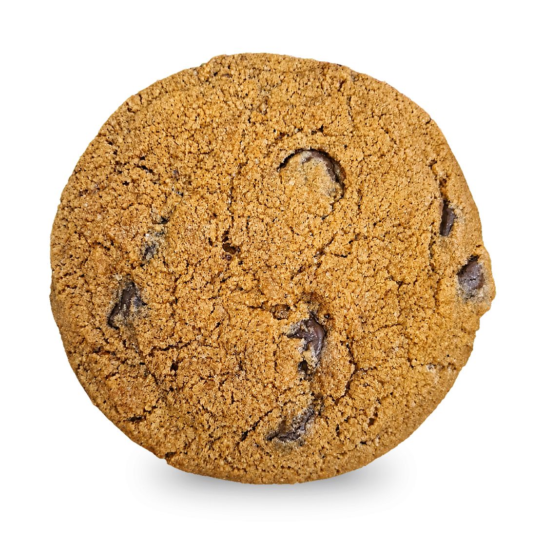 Pumpkin Spice Cookie