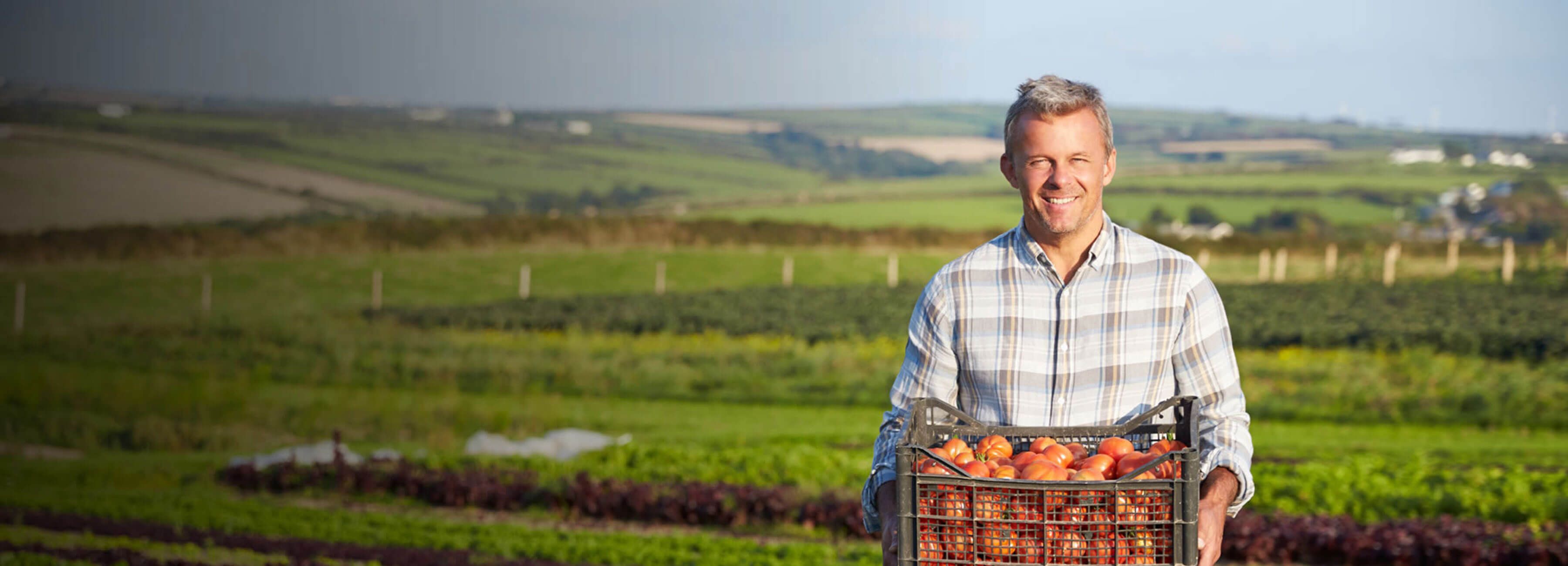 En glad landmand med friske råvarer