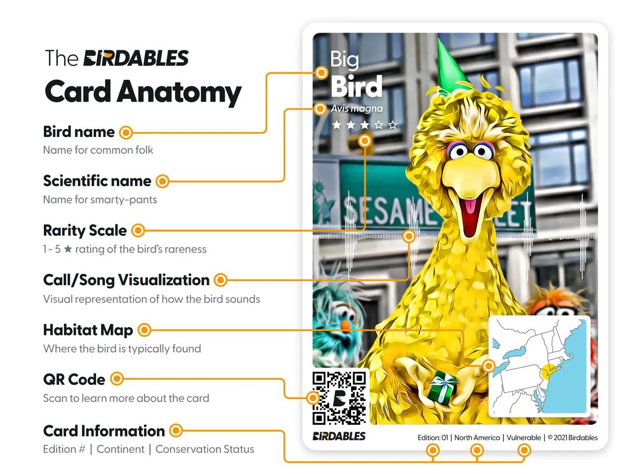 Card anatomy diagram labelling the bird name, scientific name, rarity scale, call and song visualization, habitat map, QR code and card information
