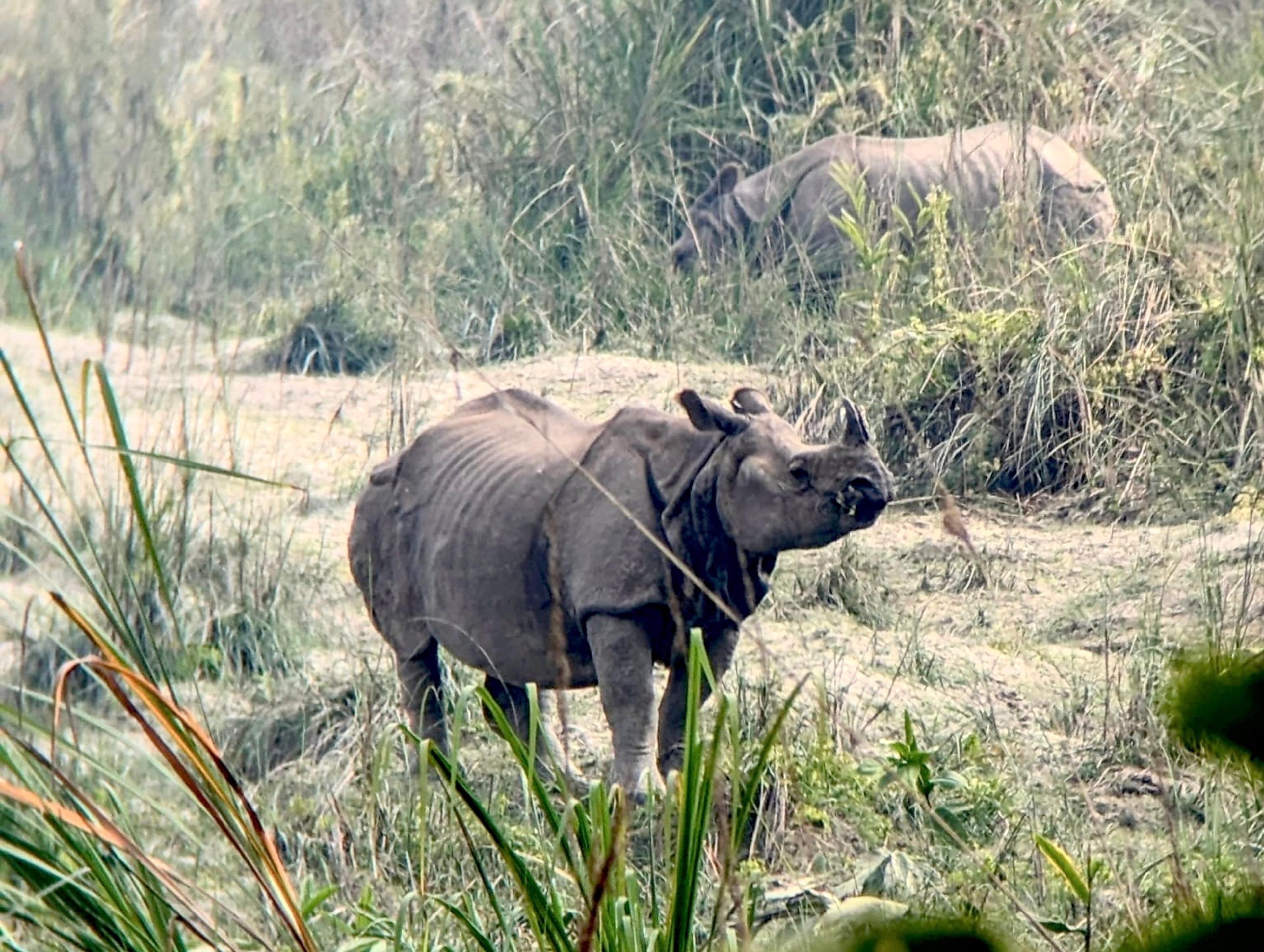 Kathmandu Pokhara Chitwan Tour, Nepal