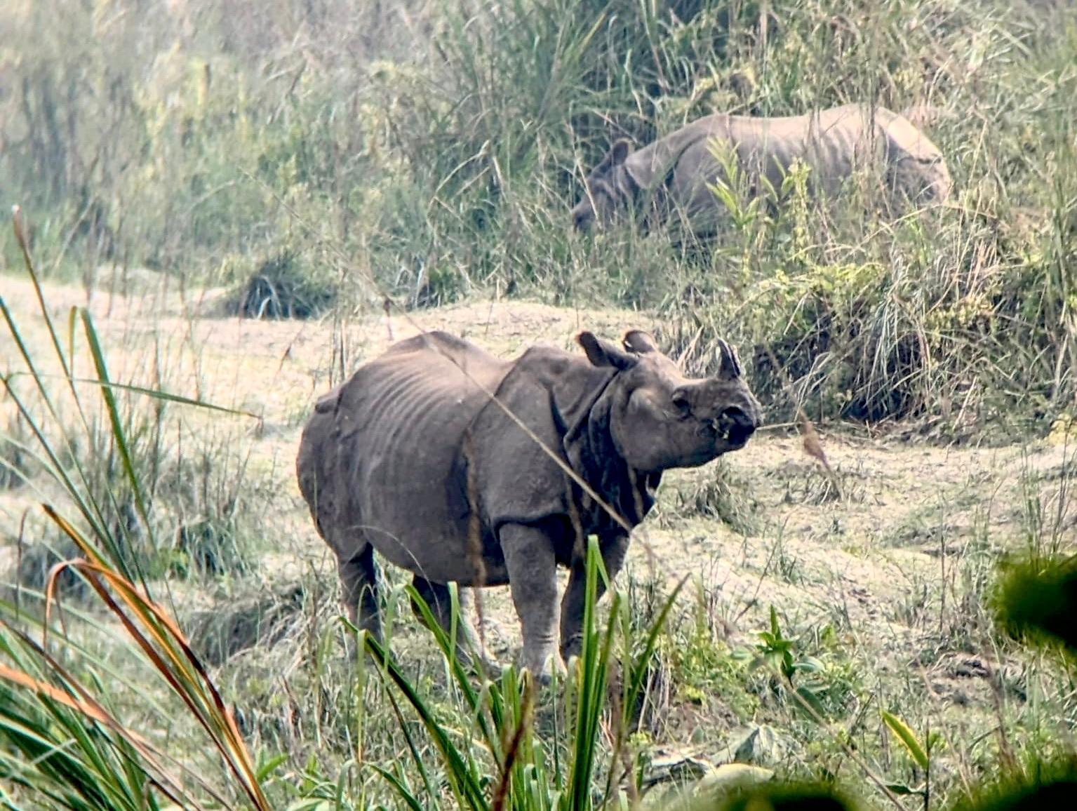 Kathmandu Pokhara Chitwan Tour, Nepal