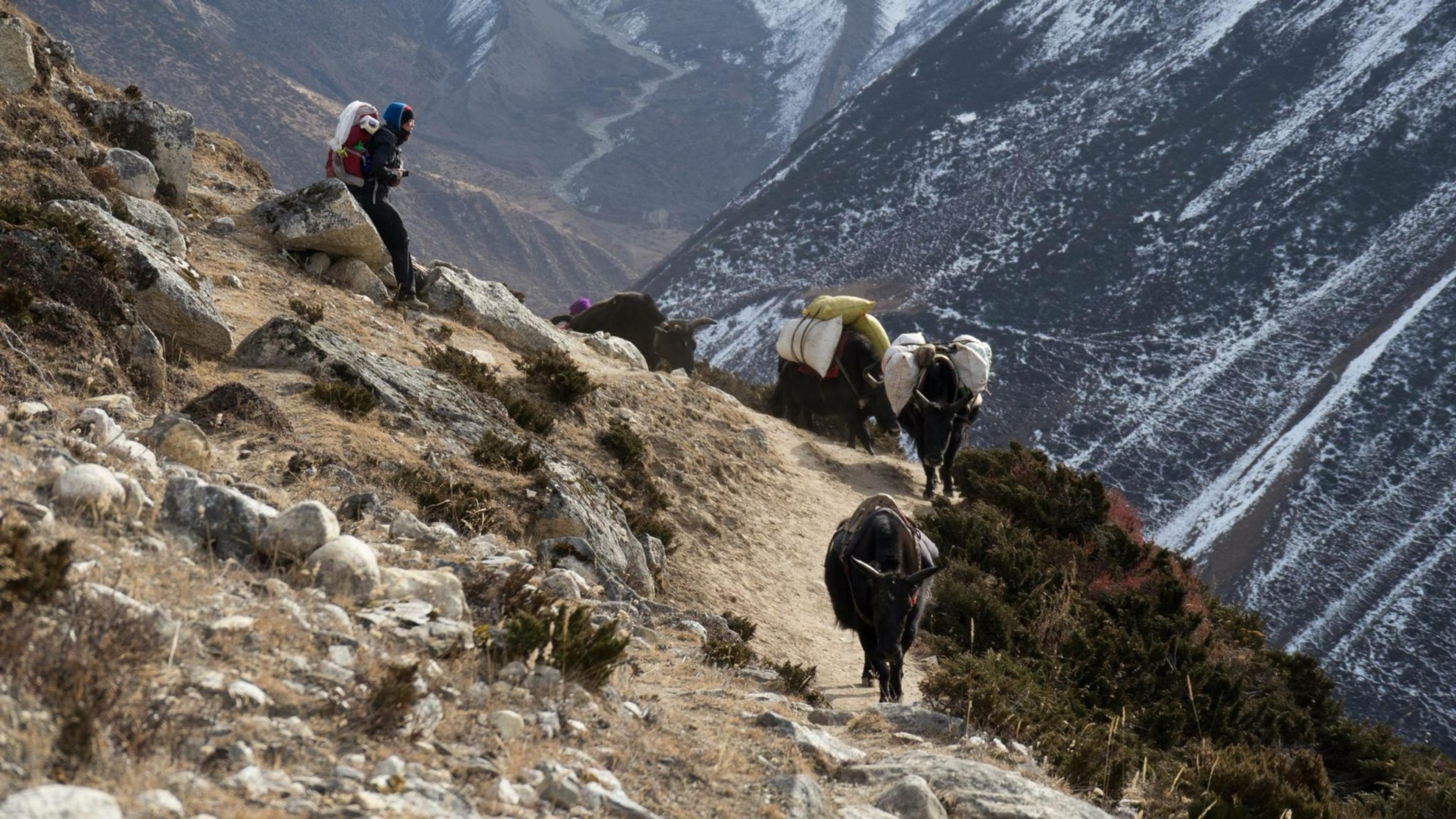 Helambu Trek, Nepal