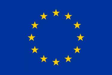 EU Emblem - customs