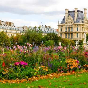 Spring flowers in Paris