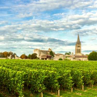 Bordeaux - vineyards