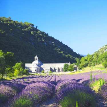 Kirche in einem Lavendelfeld in der Nähe von Avignon.
