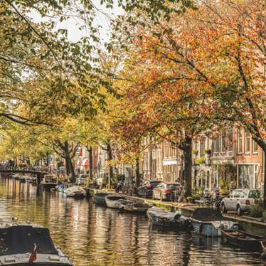 A canal in Amsterdam shaded by autumn’s golden leaves
