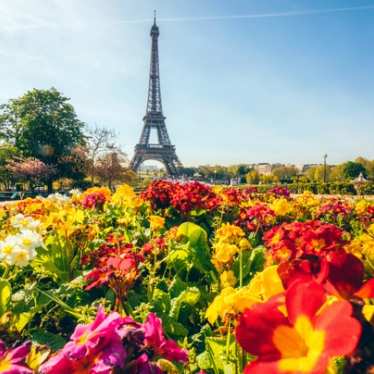 Paris - Eiffel Tower