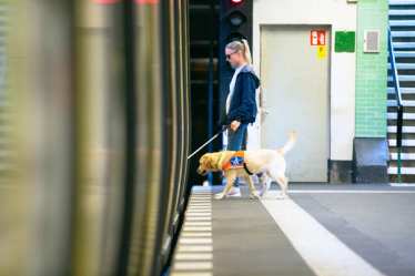 Lady and Assistance Dog getting on train