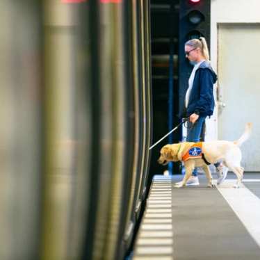 Lady and Assistance Dog getting on train