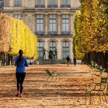 A woman goes for a jog amid golden-coloured trees in the Jardin des Tuileries