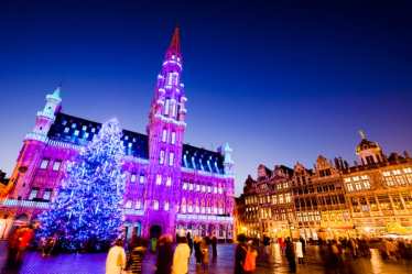 Der Grote Markt in Brüssel ist mit schillernden violetten, blauen und weißen Lichtern beleuchtet, die einen magischen Glanz auf die historischen Gebäude werfen. Im Vordergrund erhebt sich ein prächtiger, festlich geschmückter Weihnachtsbaum. Erleben Sie den Zauber von Brüssel in der Weihnachtszeit.
