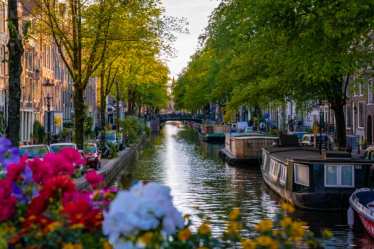 Flowers and house boats on a canal in Amsterdam's Jordaan district