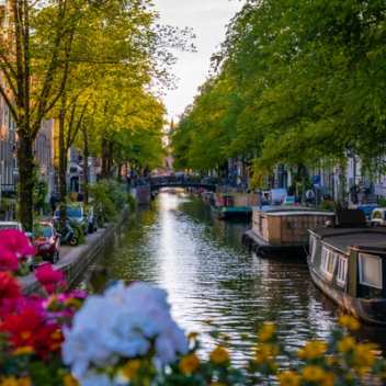 day trips to amsterdam from london