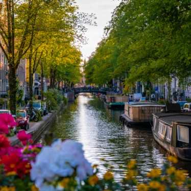 Flowers and house boats on a canal in Amsterdam's Jordaan district