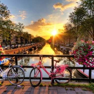 Beautiful sunrise over Amsterdam, The Netherlands, with flowers and bicycles on the bridge in spring