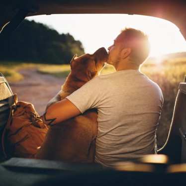 Travel with pets