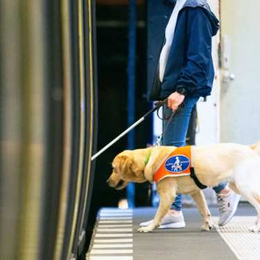 A woman entering a Eurostar train with her guide dog