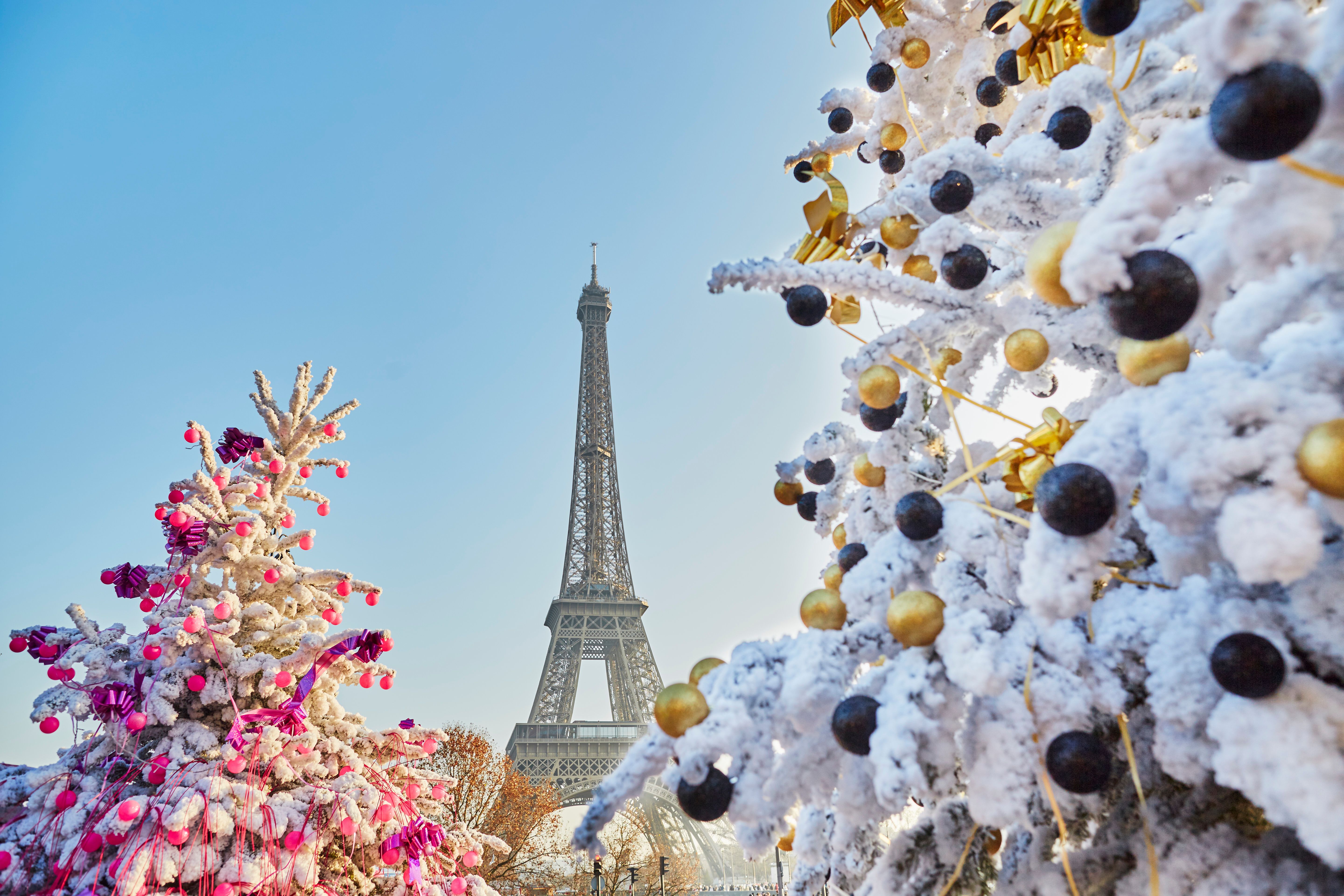 Christmas tree covered with snow near Eiffel tower in Paris