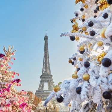 Christmas tree covered with snow near Eiffel tower in Paris