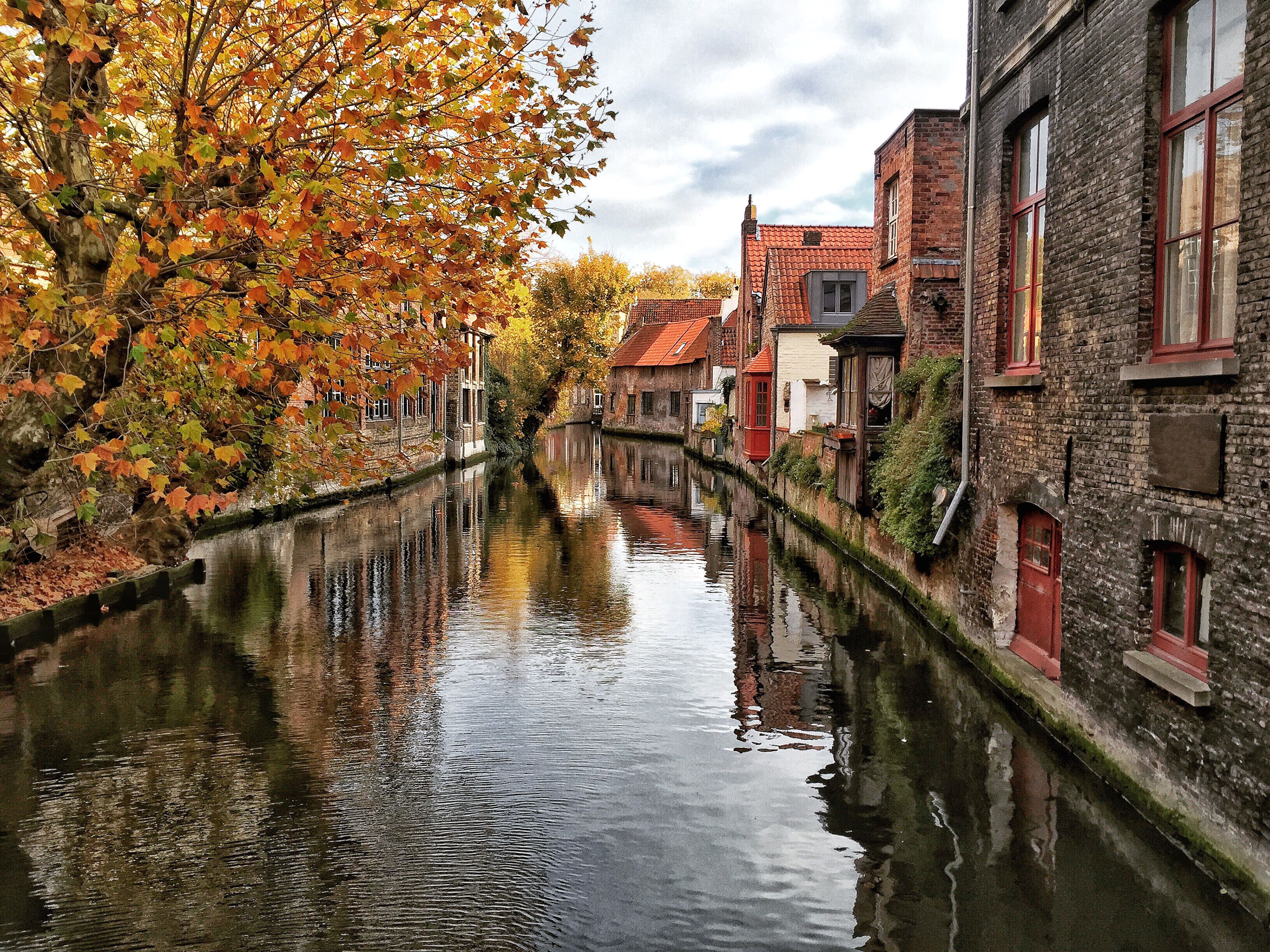 Bruge